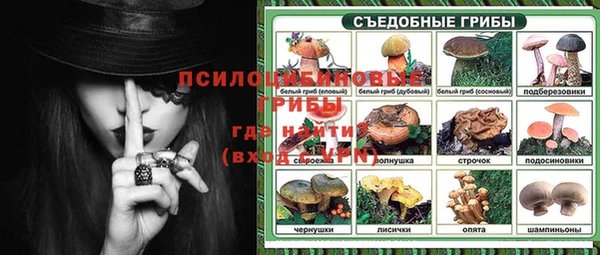 эйфоретик Арсеньев