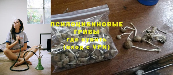 эйфоретик Арсеньев