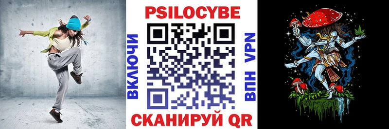 Псилоцибиновые грибы Psilocybe Карабаново